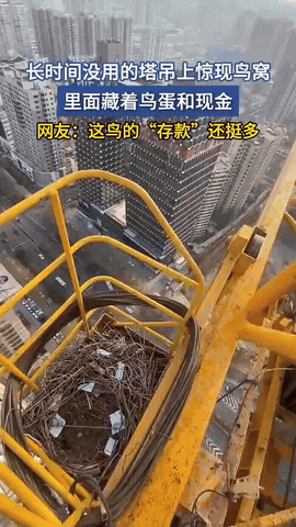 “简直就是飞来横财呀！”近日，陕西西安，塔吊师傅第一天上班，他爬呀爬累得气喘吁吁