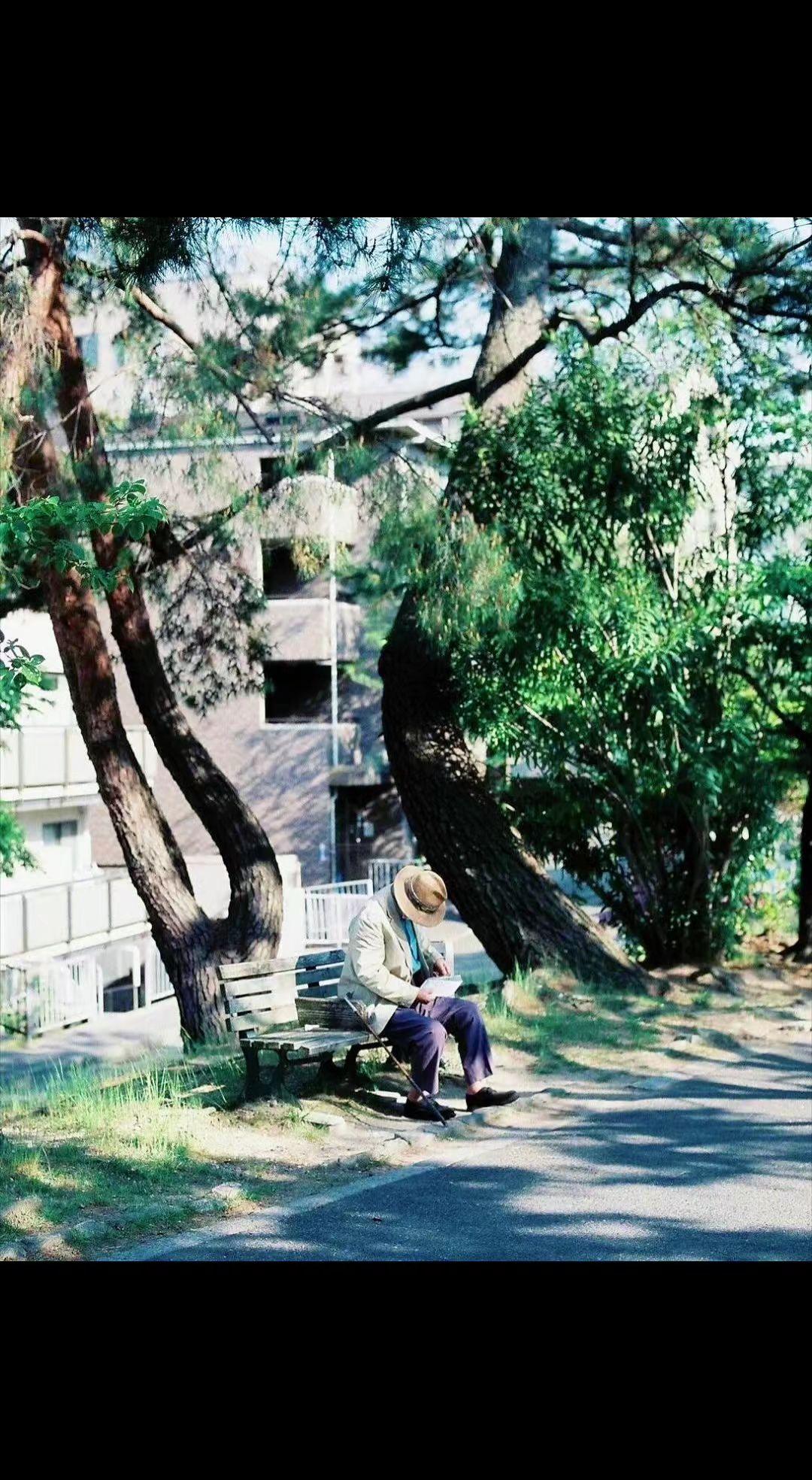 🌳阳光碎成金箔撒在书页上，老人的影子和树影缠绵成诗📖。时光在这里走得很慢，慢