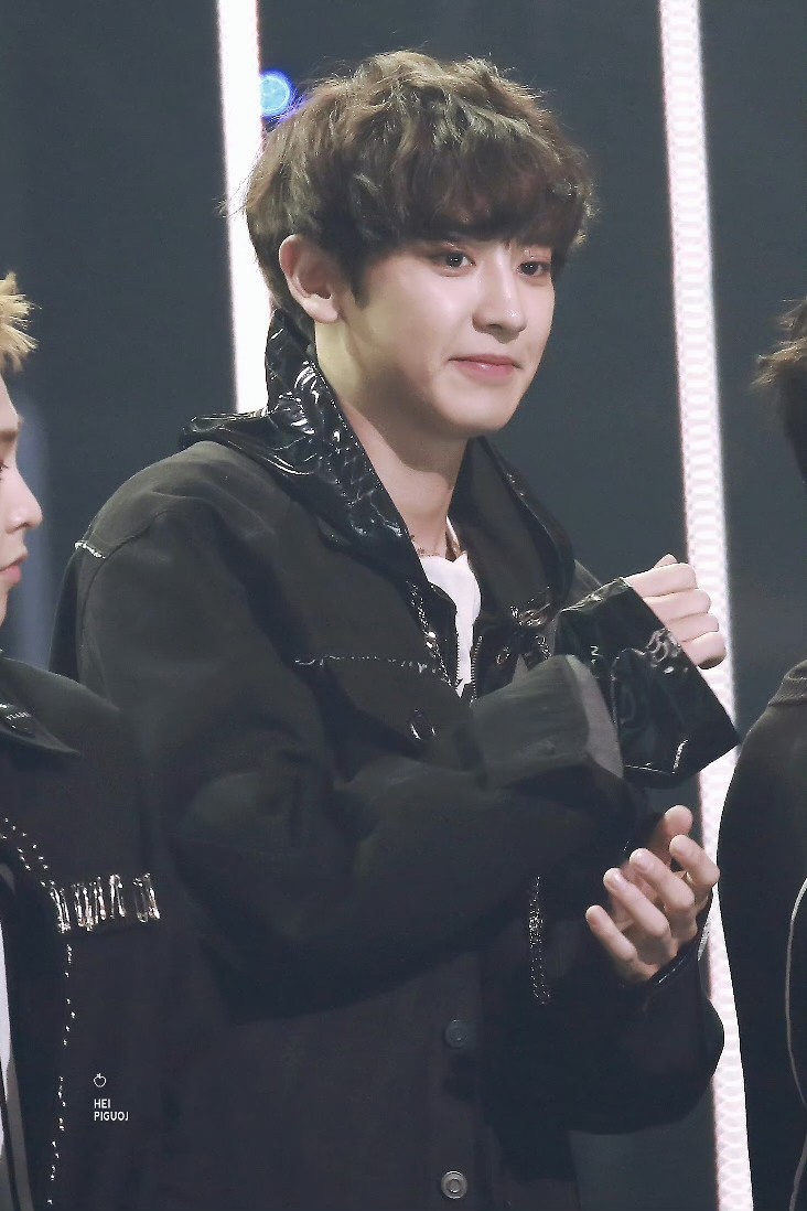 161116 Asia Artist Awards 