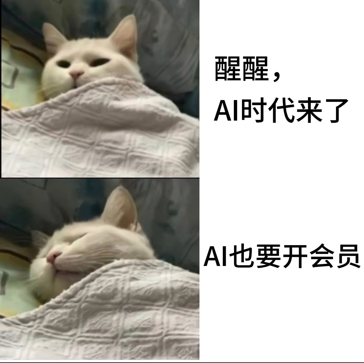 有没有一种可能，以后的消费观会变成：AI按需求开。就像健身卡有人办年卡，有人只买