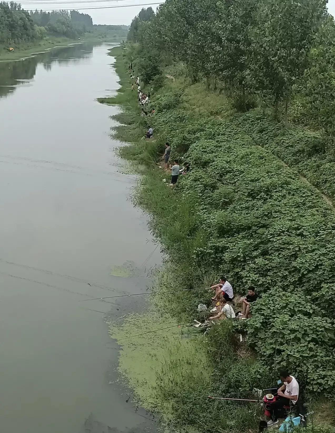 男人都是大傻子！这么热的天，花一千多块钱买套装备，跑到河边去喂蚊子。结果鱼没钓到