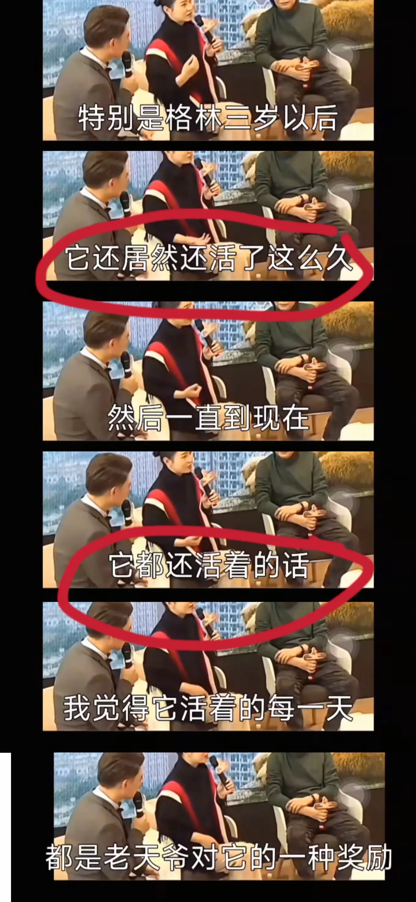 重返狼群疑问。