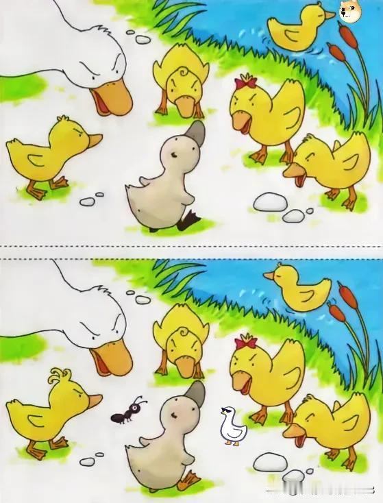 小鸭开会乐逍遥
6处不同能找到吗[灵光一闪]