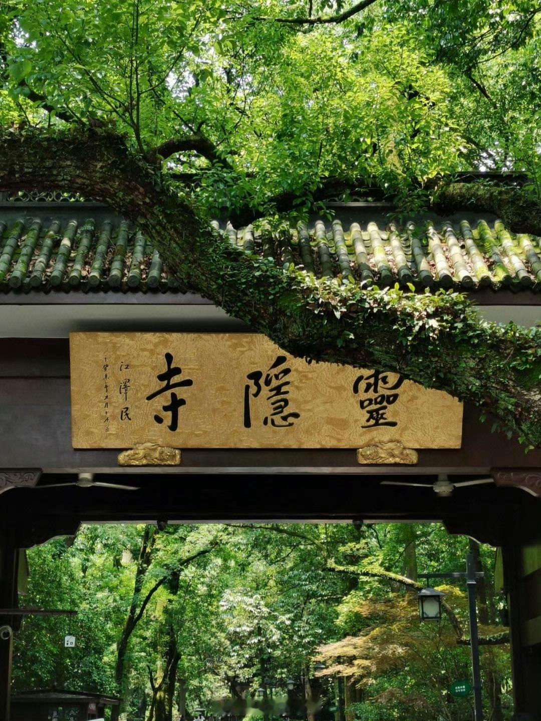 灵隐寺被38万鸽王上了一课都说免费的才是最贵的，灵隐寺免票56天有38万人爽约，