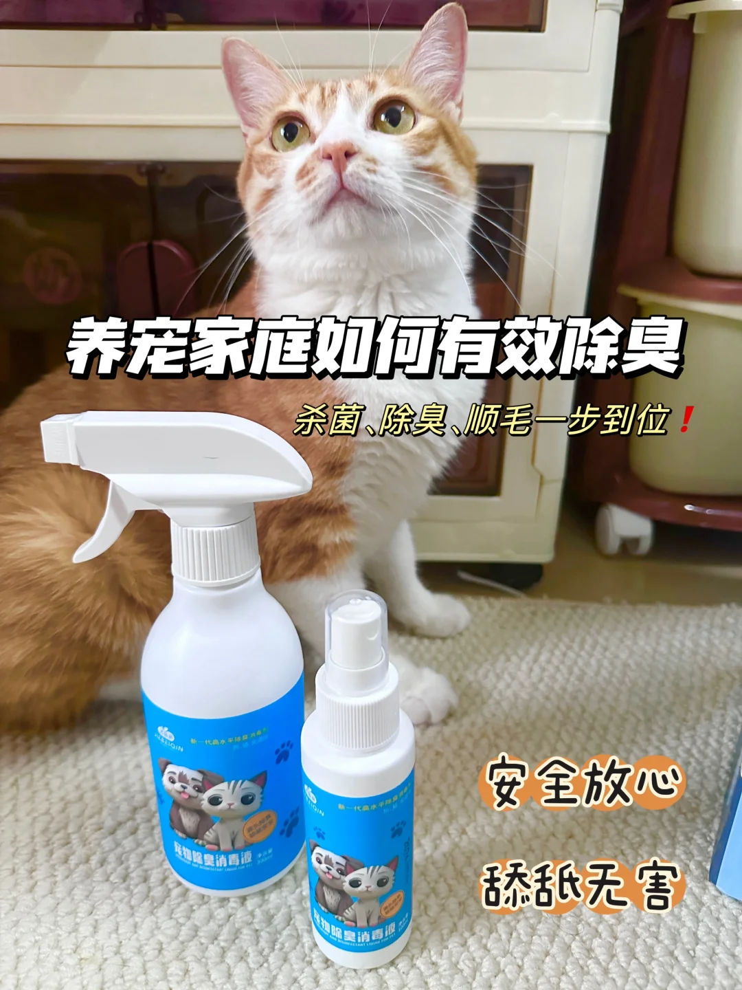 养宠家庭如何有效除臭~