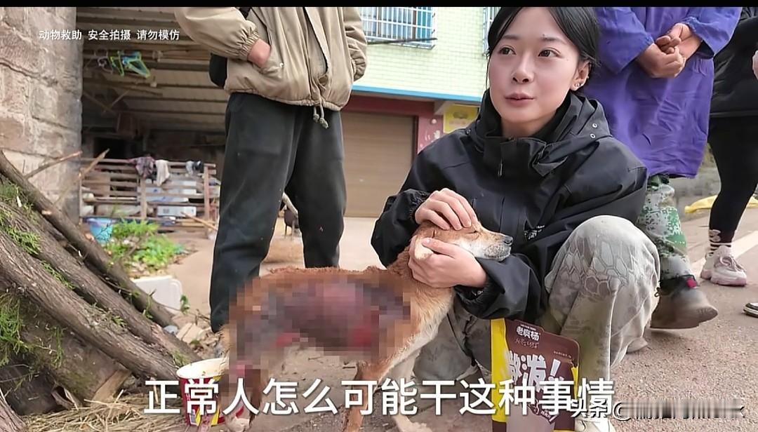 抛夫弃子的女人真恶毒！怀疑狗吃了鸭子，女子用开水烫伤狗妈，烫死狗崽，狗妈忍着伤痛