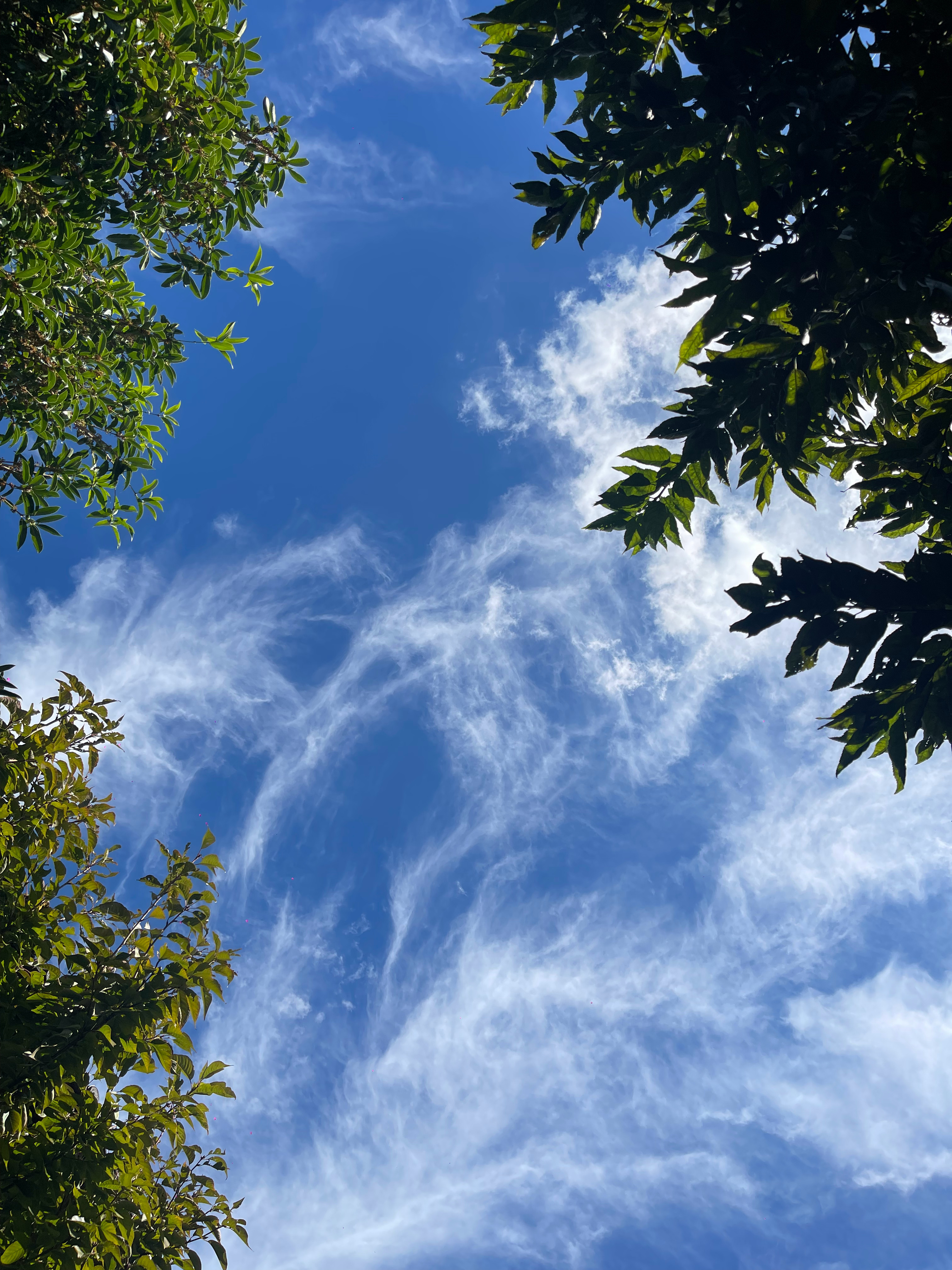 明明什么都没有变，自己的感觉、感受却变了，这是一个人生长出了智慧的唯一表达。——