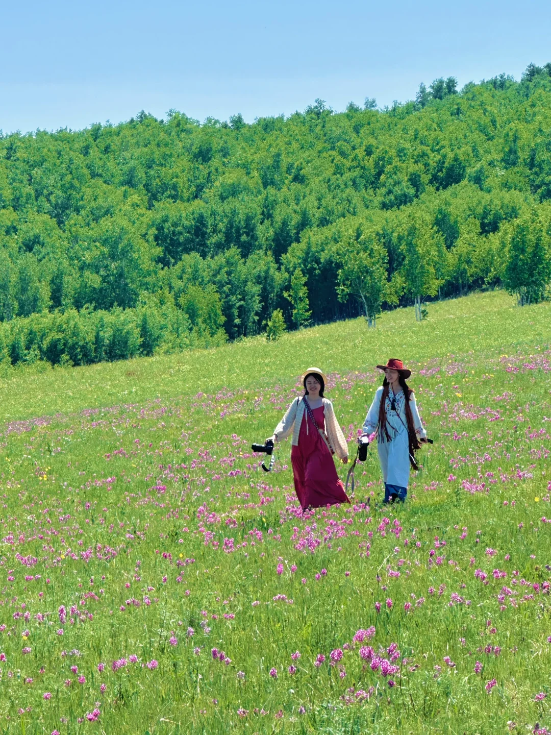 不是阿勒泰！是恩河！感受旷野的风🍃live图