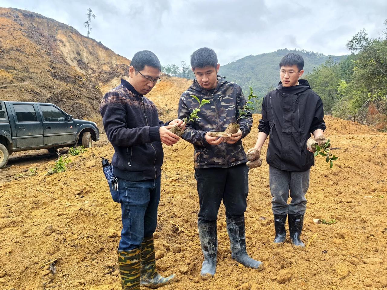 林业工程师、硕士、博士们的辛苦[碰拳][玫瑰]
​为了全国绝大多数红花油茶优树品