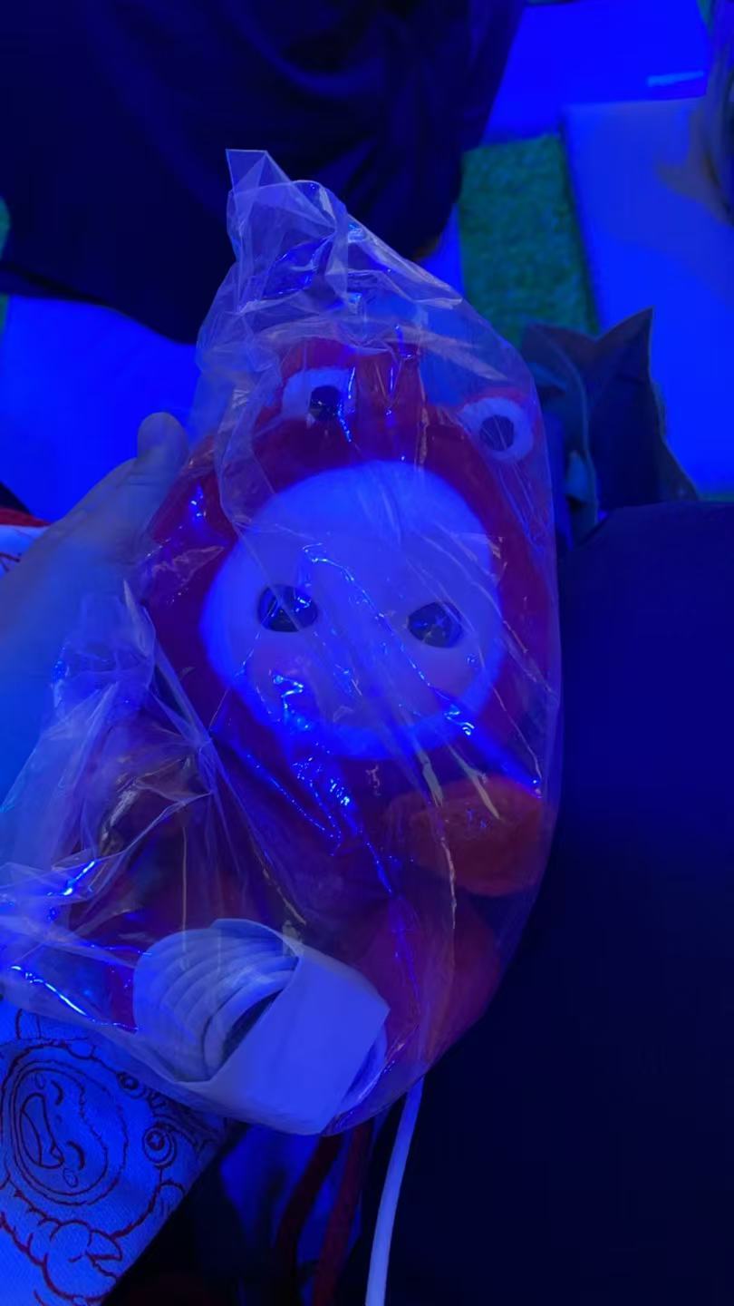 赛豆科技AIVA品牌发布会伴手礼，目测像个AI玩偶