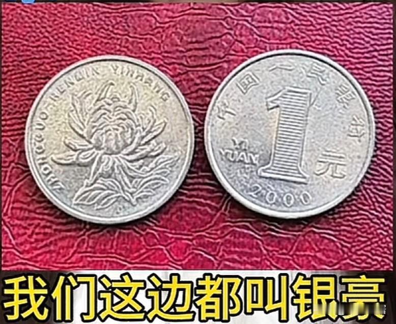 我一直以为，全国各地，1元硬币，都是叫硬币的。没想到还有不同的称呼，比如东北叫钢