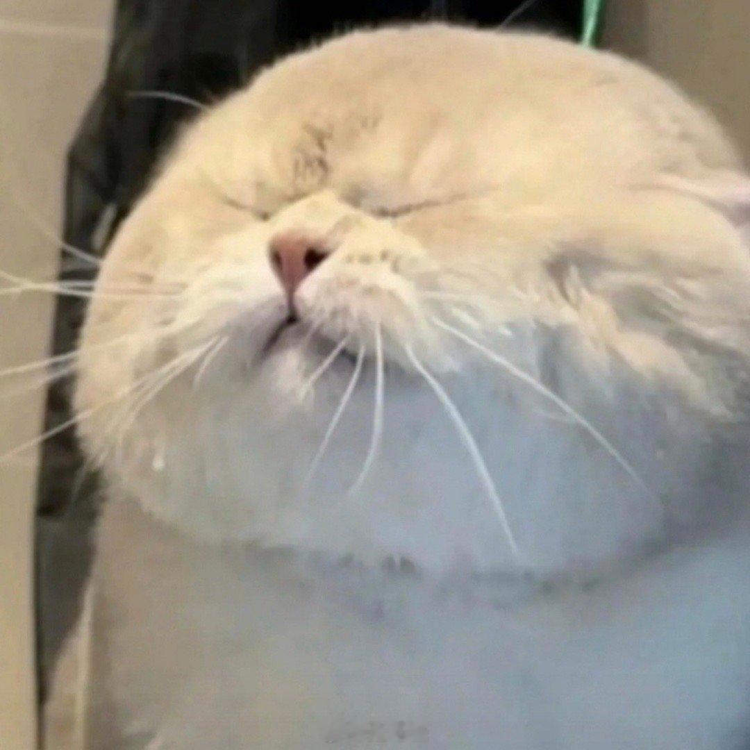 起床尿尿啦~ ​​​