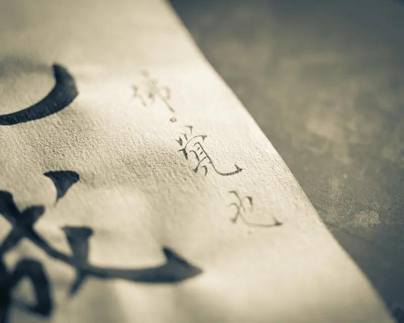 中国书法的真正魅力，在于它是形式美与精神内涵的完美融合。
从形式上看，线条的韵律