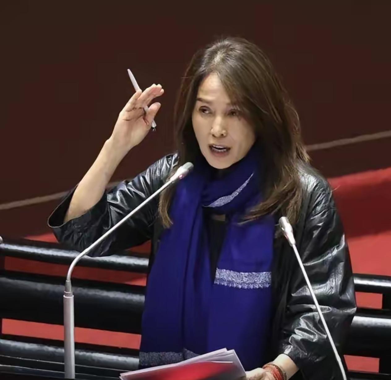 “敢动高金素梅，明天导弹就犁平凯达格兰大道！”蔡正元博士的这句话特别带劲，就冲他