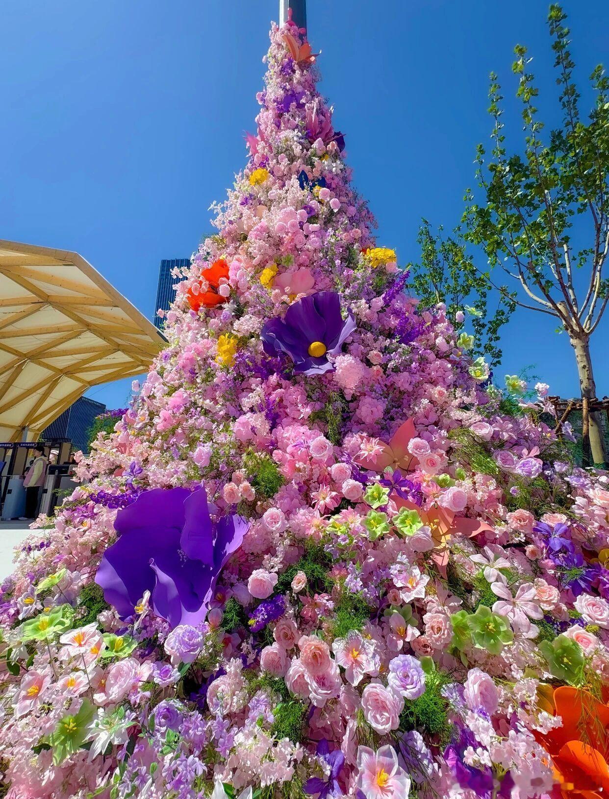 在北京闹市挖到绝美花海！丽泽国际花展太好逛啦超大场地摆满各类珍稀花草，浪漫花境氛