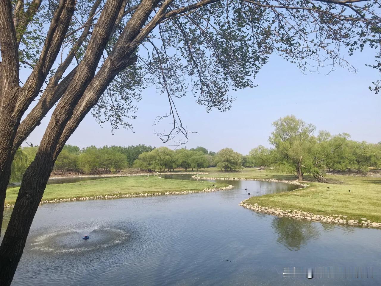 一些人之所以太喜欢批评别人，原因在于他自身的自恋问题——他需要通过贬低别人来抬高
