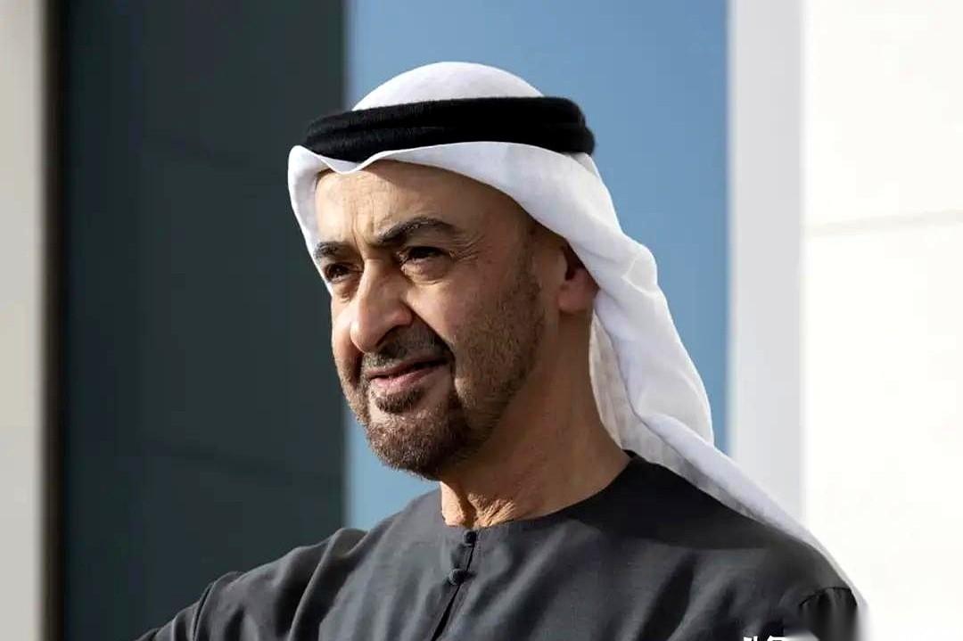 阿联酋总统顾问安瓦尔·加尔格什，直接对着媒体摊牌了。
他的原话是：“伊朗骗了我们