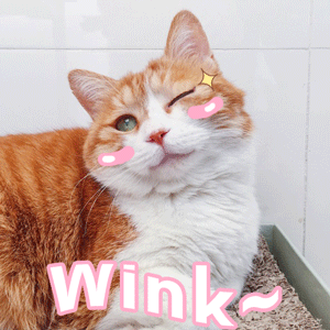 各位尊贵的粉丝宝宝 早安～🫰 现在是2026年2月19日 星期四早上8:30 