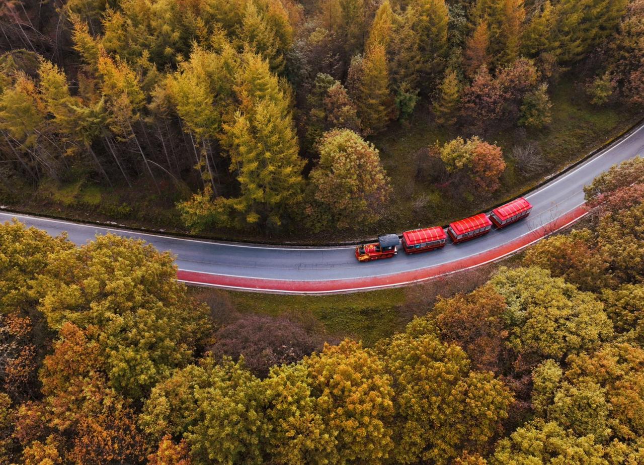 秋天虽然没有春天那各种花朵，但是却有着独特的魅力，而且秋天的美丽，不仅仅只是红色