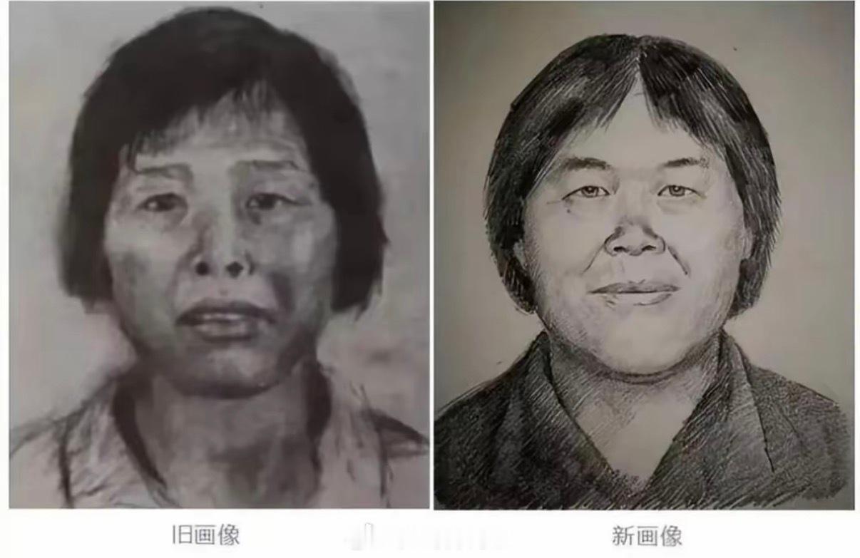 梅姨被逮捕【二十载炼狱终得见青天：人贩子“梅姨”落网与九个家庭的漫长守望】作为一