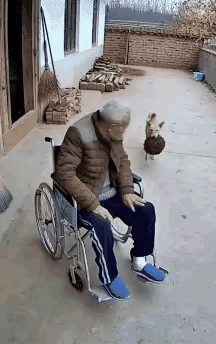 感谢黄狗，终于治愈了老爷子多年的半身不遂！
​网友评论：
​老头：要不是小黄，我