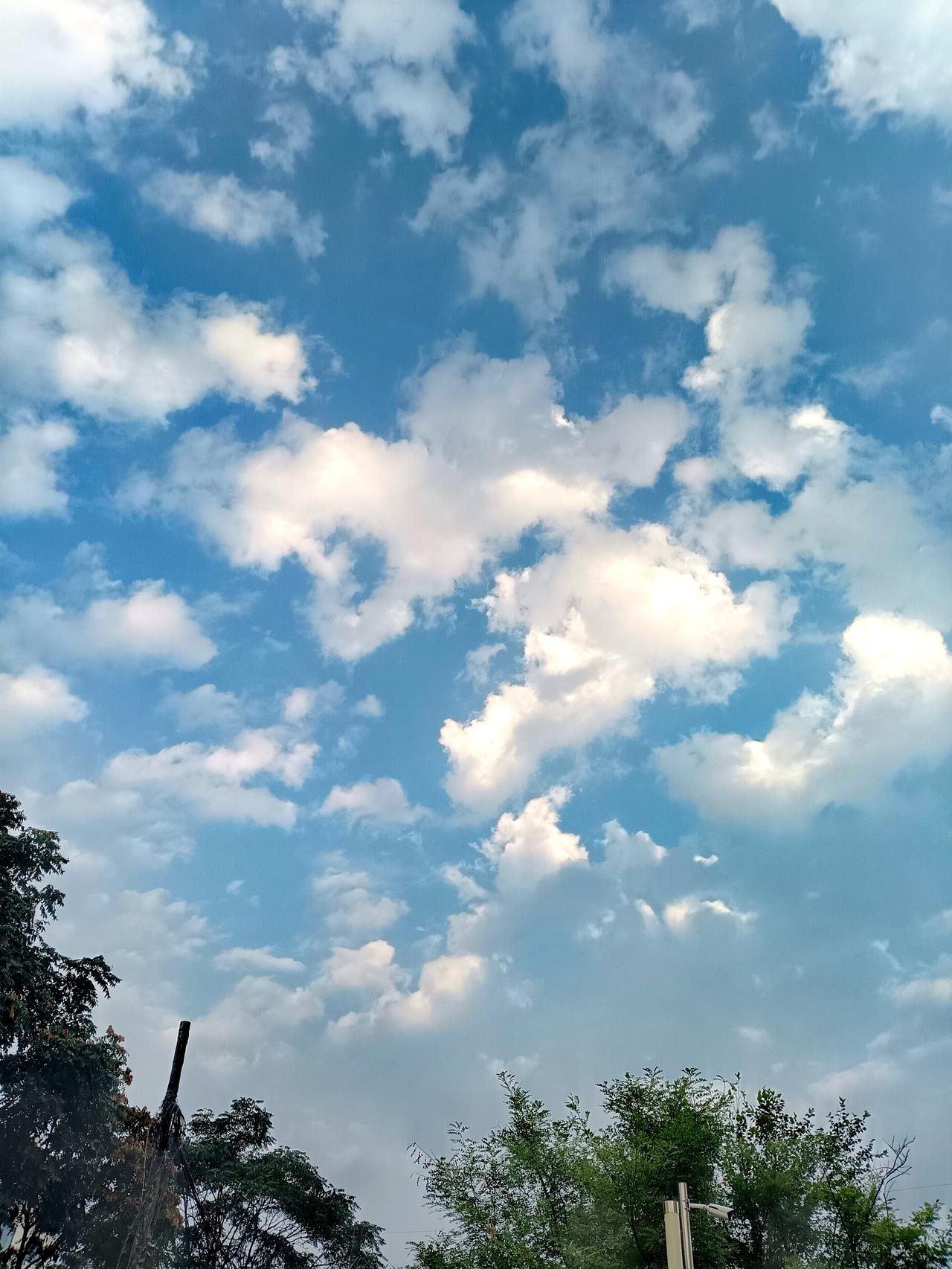 立秋首晨碧空澄澈，蓬松白云悠然飘荡，微凉清风拂面，褪去暑气，满是清爽惬意。