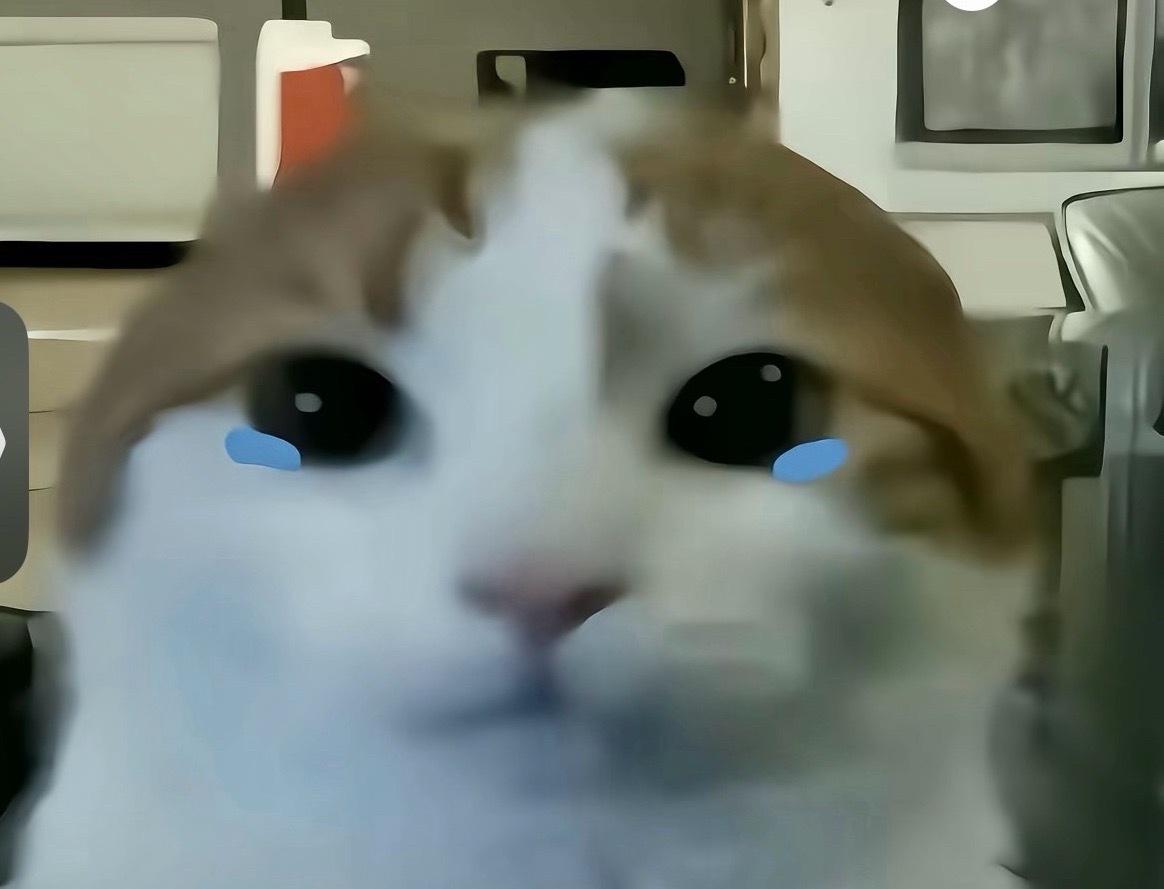 ​​​