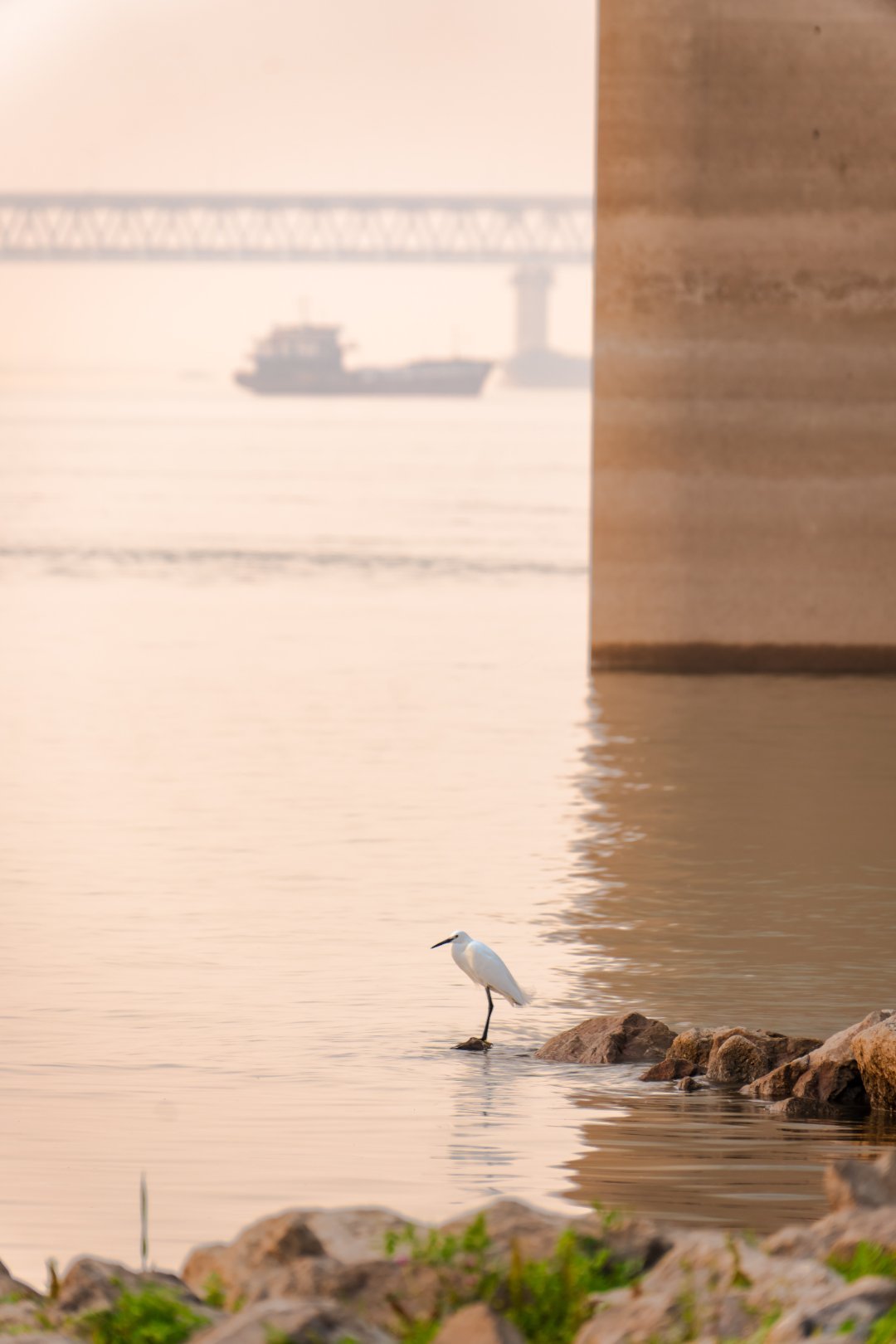 *在路上*芜湖长江3大桥...某人迷恋长江大桥，迷恋日出日落。所以，多烂的地方有