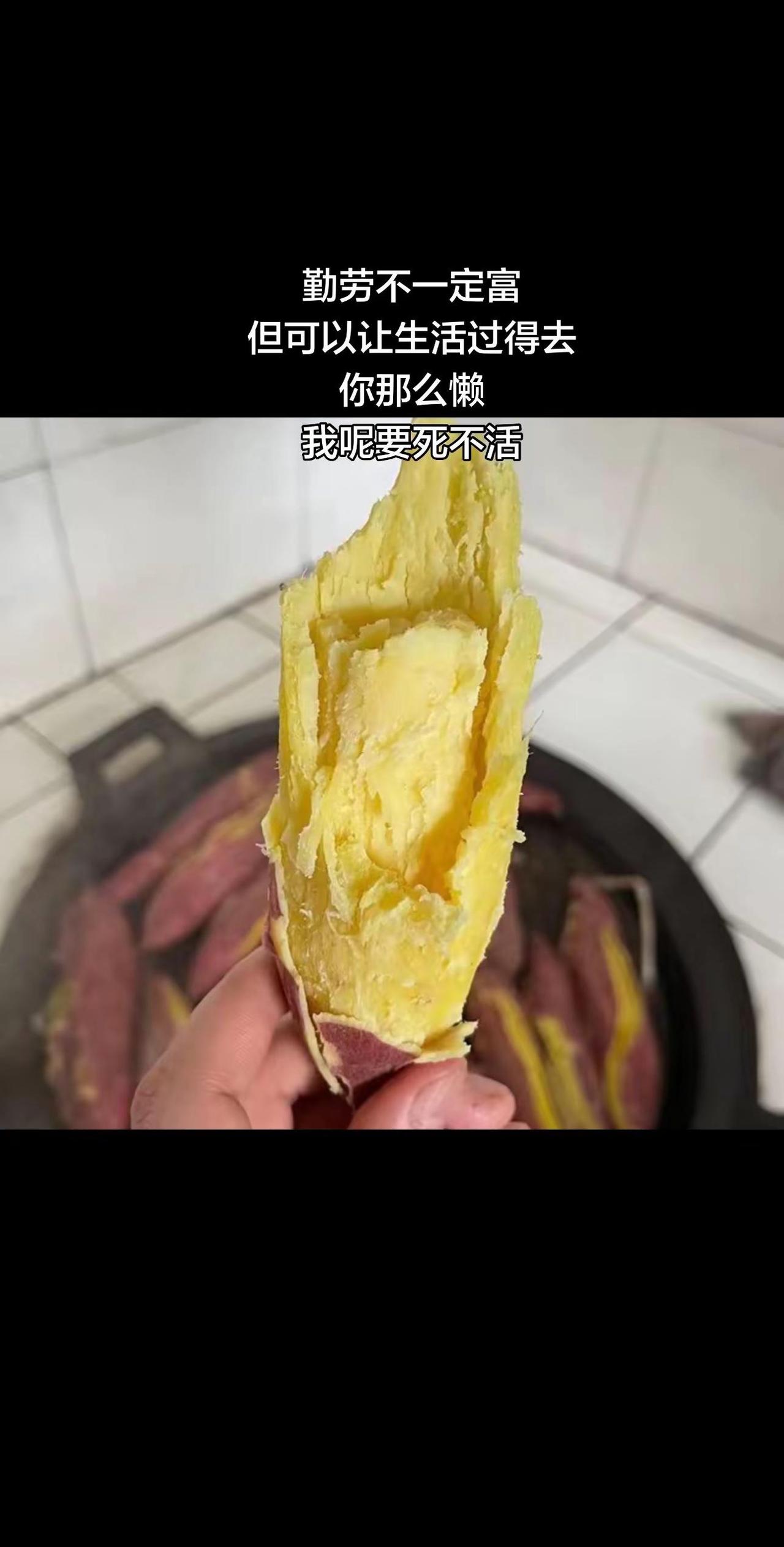 我这样拼命努力十几年，看不得一些人无所谓的样子，对生活态度毫无改变，我想我的使命