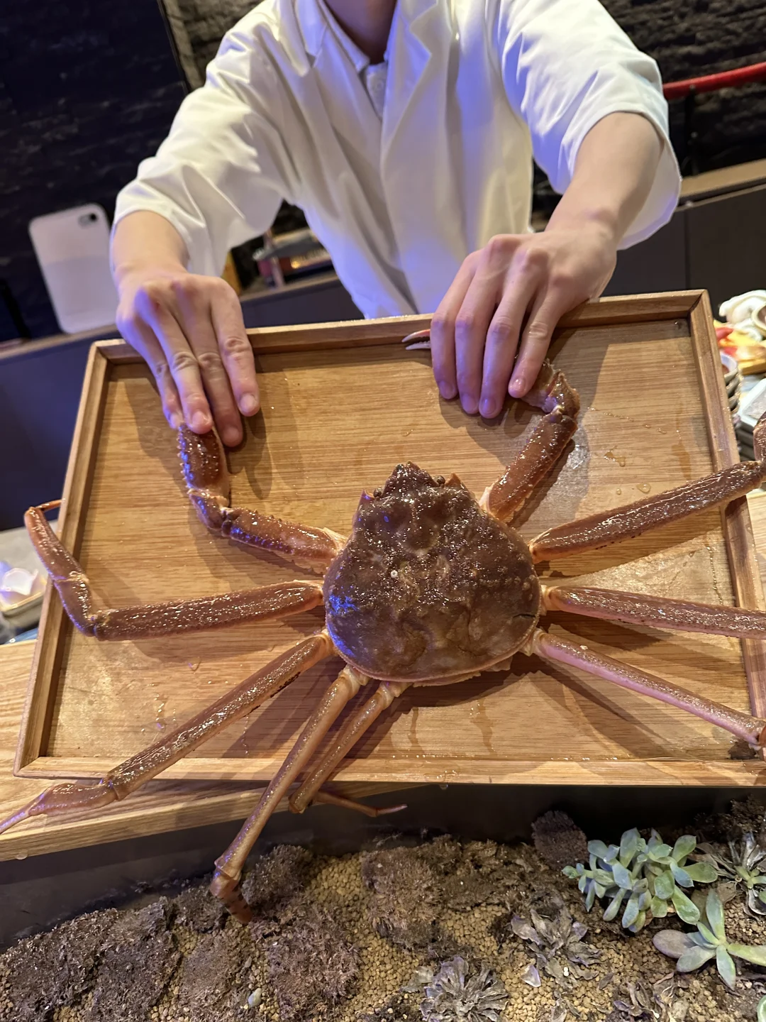 成都京怀石华料理