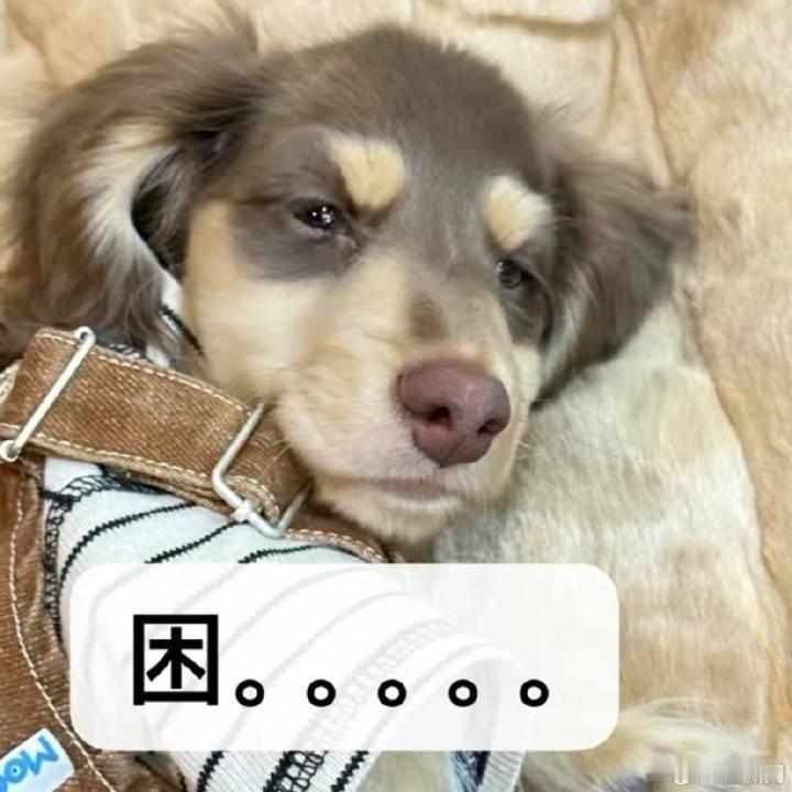 早上坏 不是怎么周末一下子就过去了 ​​​