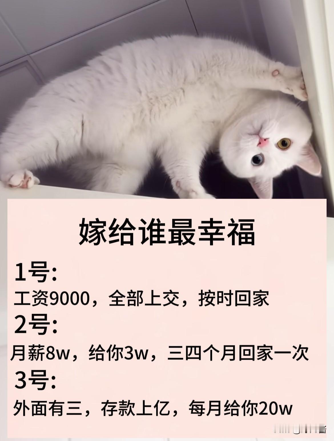 三个人选一个结婚，你怎么选？
1号:
工资9000，全部上交，按时回家
2号：