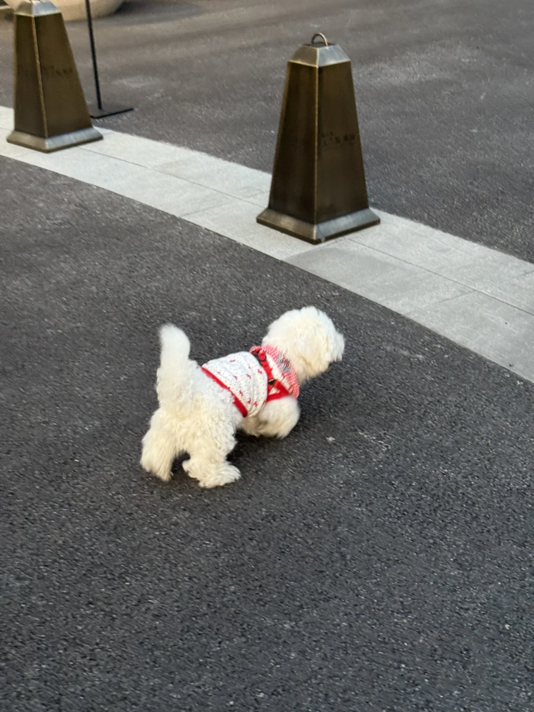 小b熊