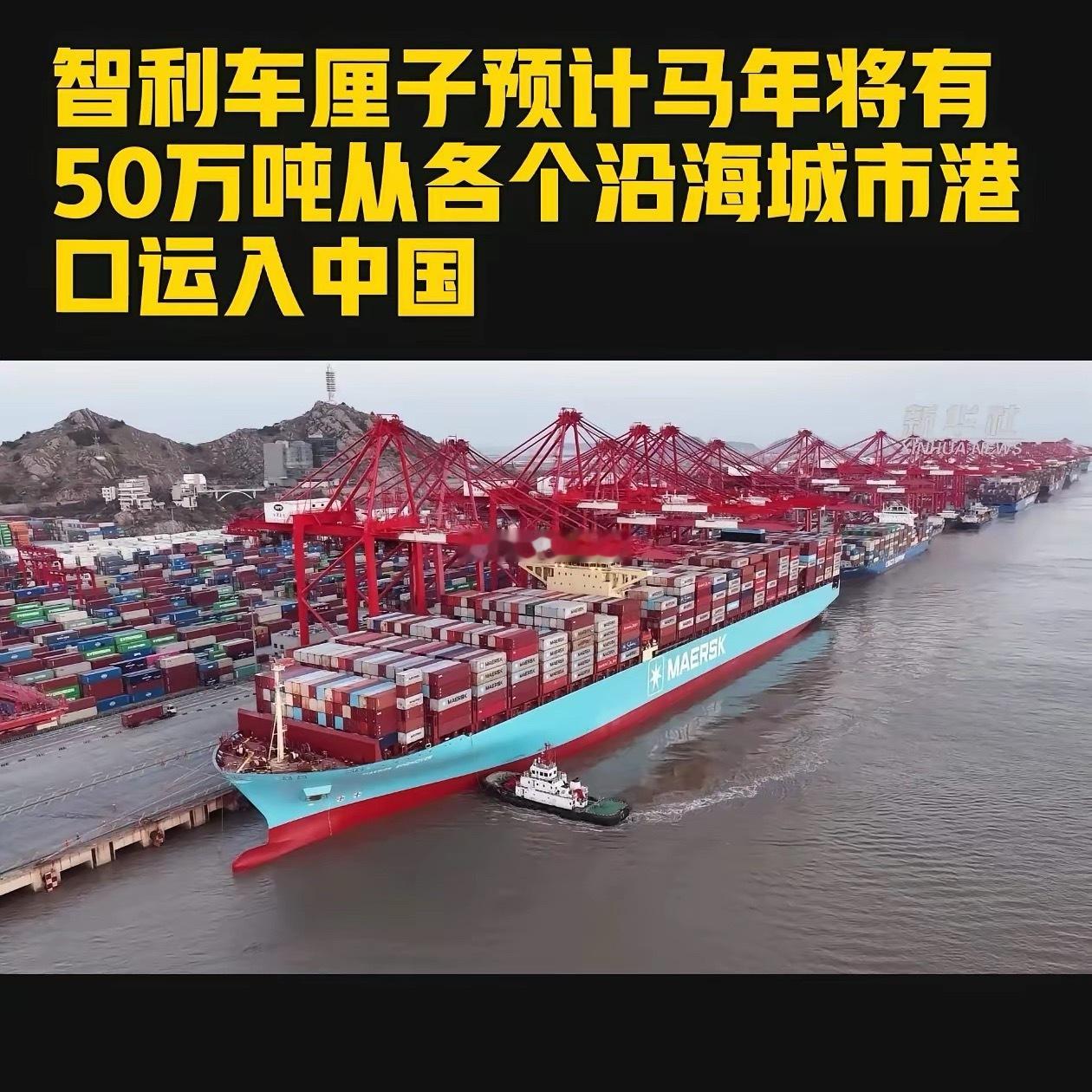 有媒体报道，今年运往中国的车厘子有50万吨，什么概念呢？大小和分装后将有1.15