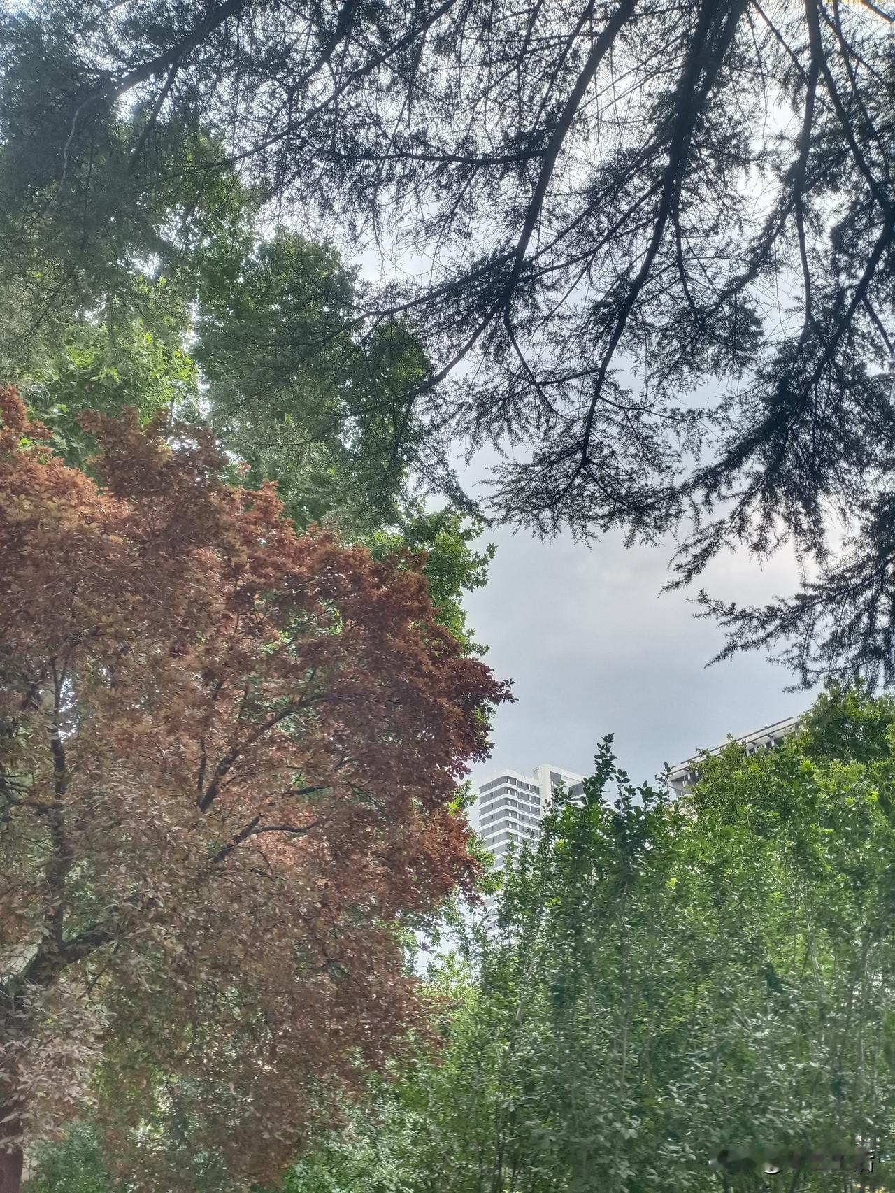 对酒
唐·白居易
蜗牛角上争何事，
石火光中寄此身。
随富随贫且欢乐，
不开口笑