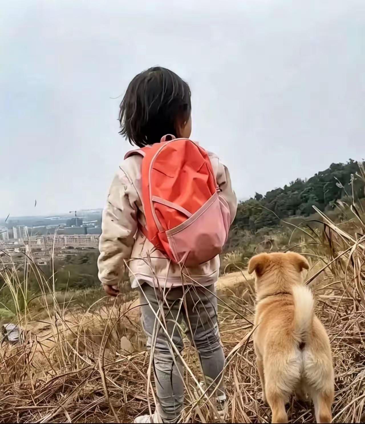 7岁，每天来回6公里山路，陪她的只有一条狗。父母离异，父亲在外打工，爷爷腿脚不便