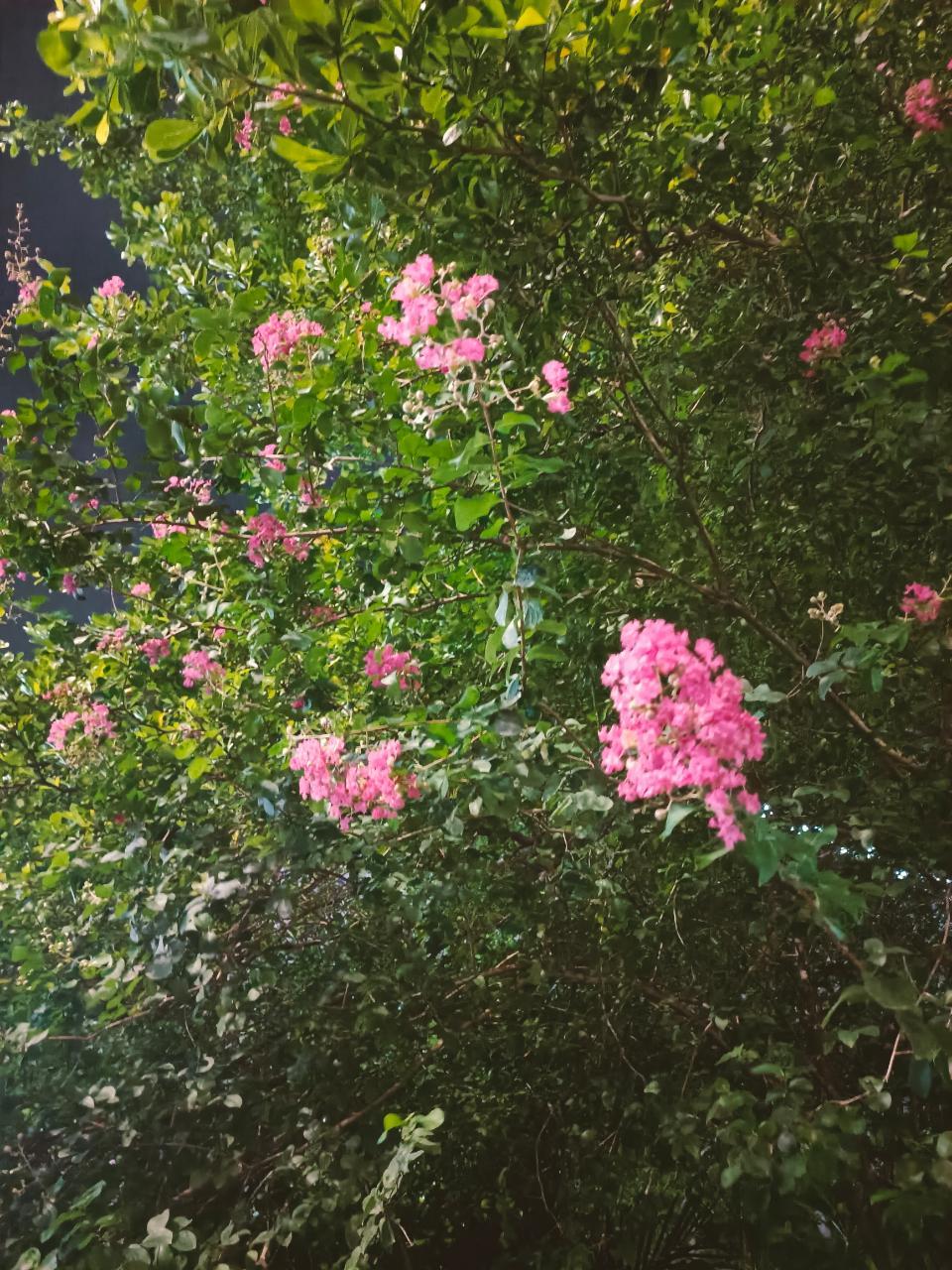 “我陪你走了这么长的路其实也刚刚好”“泥潭之中成长才能发出最耀眼的力量”“今年的