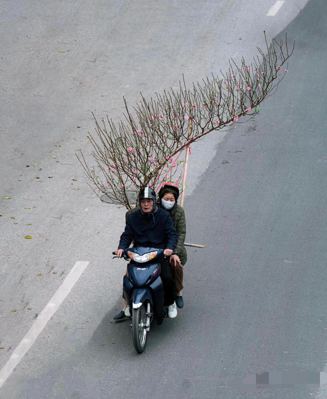 桃花运来了，挡也挡不住