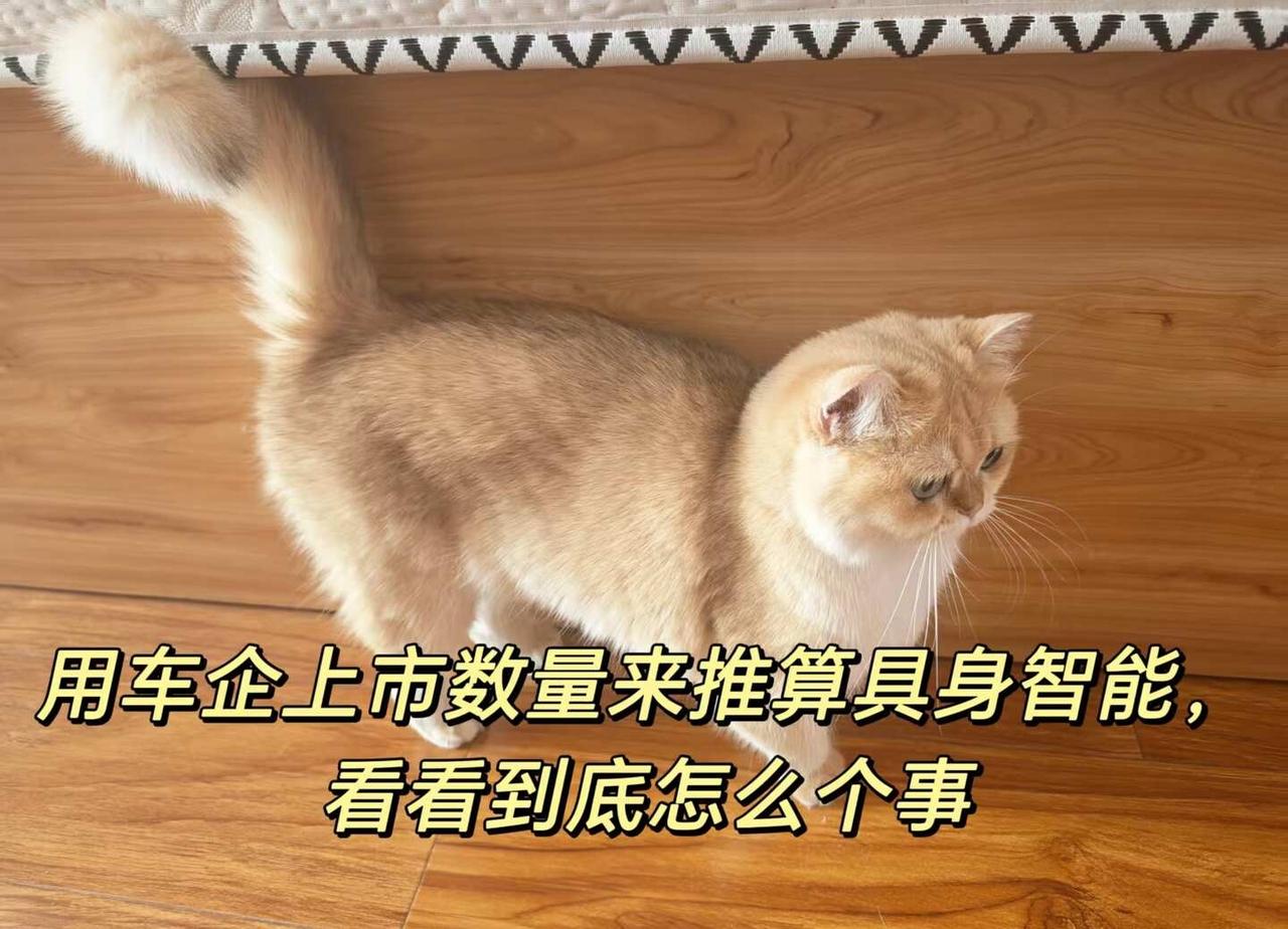 用汽车行业，刻舟求剑一波具身智能
国内具身机器人行业到底能上市多少家？这个问题一
