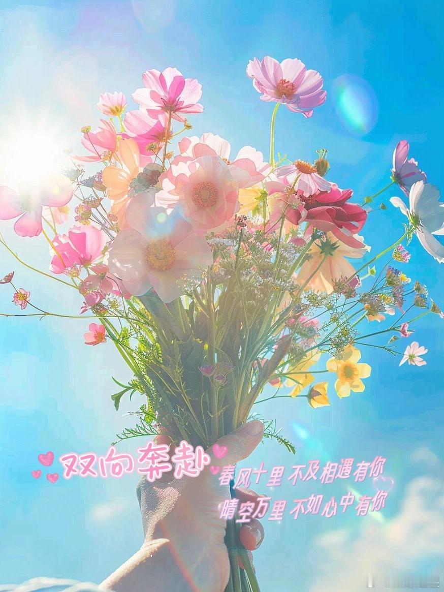 #生活手记#🌷²⁰²⁴/₀₅.₂₇𐂂 ˚🪴～☘生活里，能够同行的人，比风景