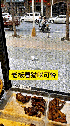 刷到这个视频心里挺难受的。这只小猫身形瘦弱，靠嗅觉来到店外，怯生生蹲在台阶下观望