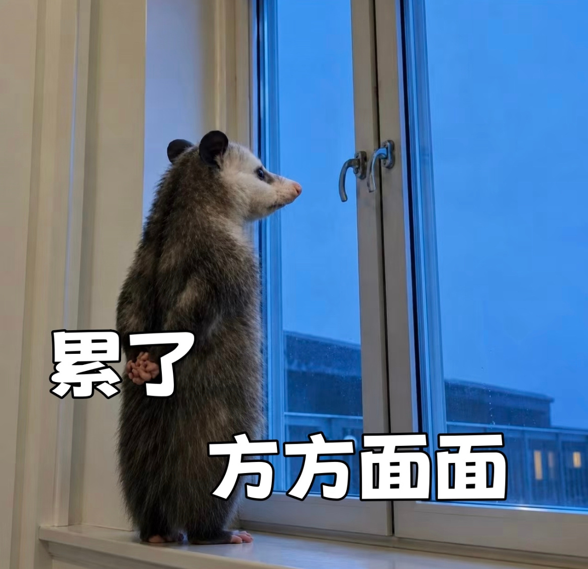 世上烂人这么多，偏偏给我选中了
