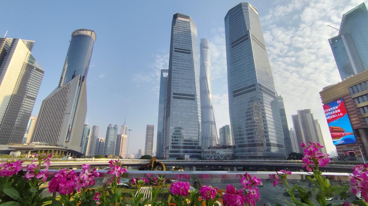 能分享你家乡的美景照吗上海浦东陆家嘴风光