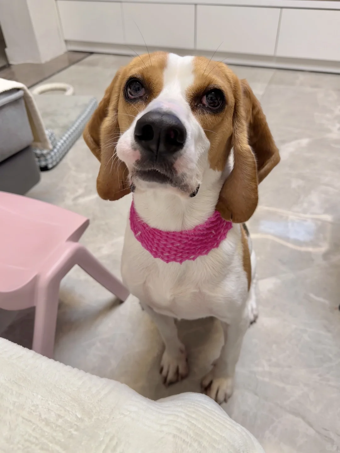 只有白皮和天鹅颈才适合这条豪华项链