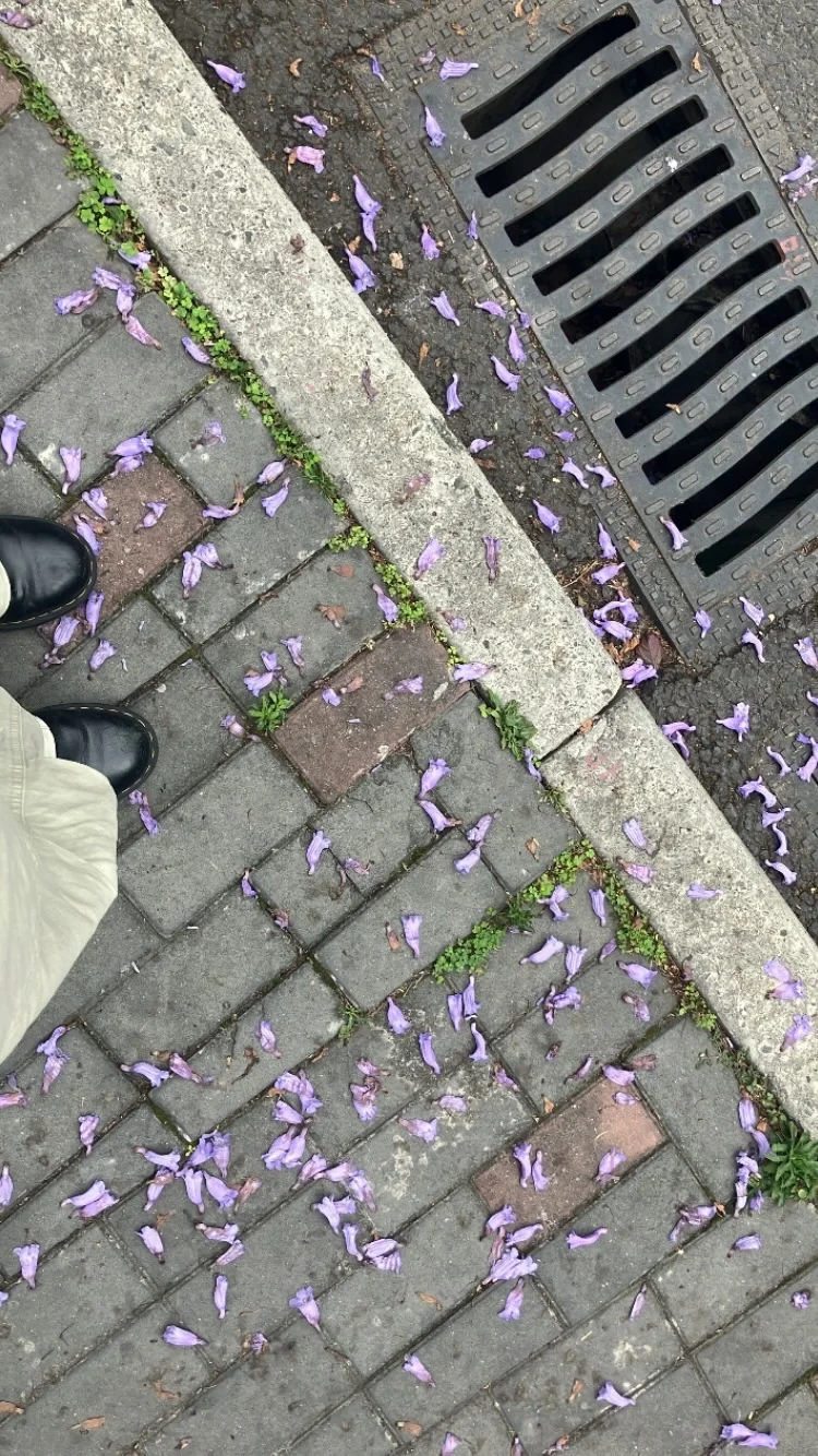 文淇更新ins动态🌸🐈💿🪟