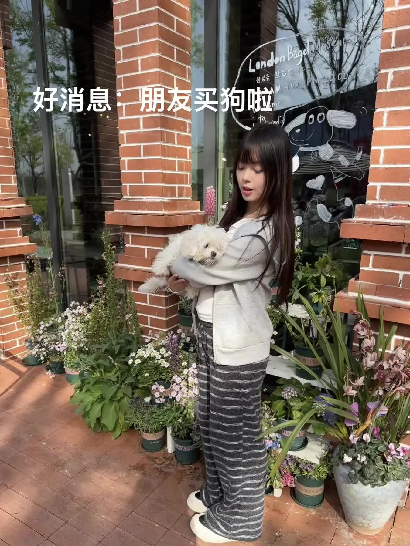 喝蜜雪都要团购的女人 现在敢买1万的狗狗狗