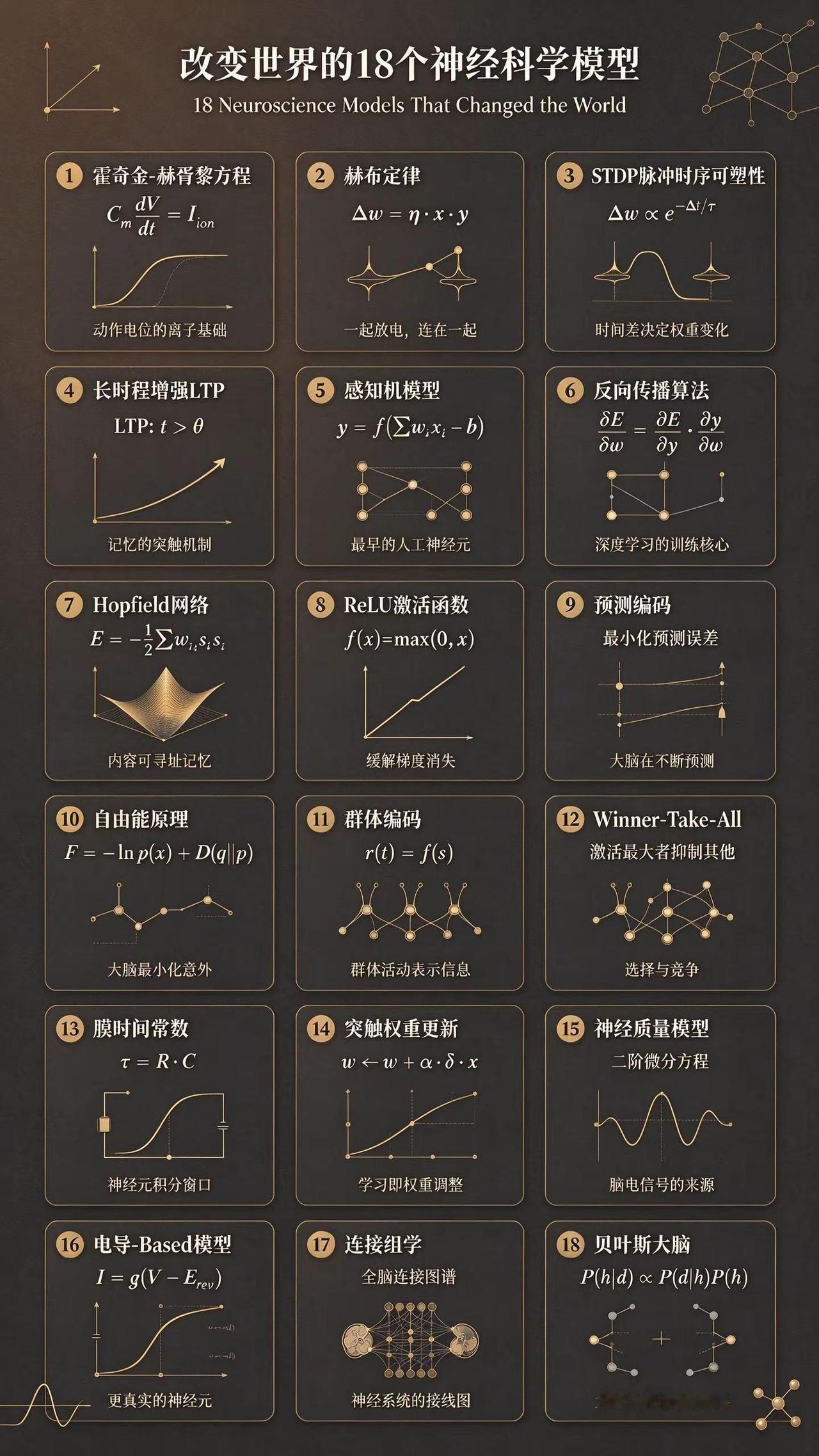 改变世界的18个神经科学模型。基础科学