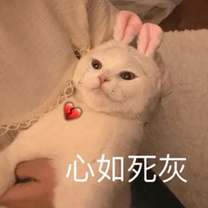 7号飞新加坡了6号回杭州的票还没补到，心情be like 