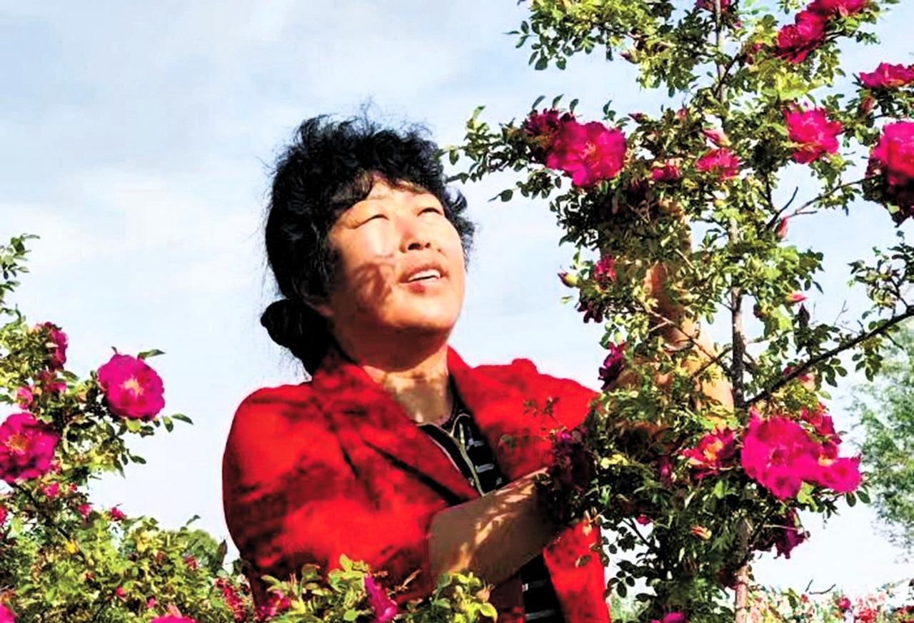 1985年，19岁的殷玉珍被父亲逼着嫁到毛乌素沙漠深处，嫁给恩人的儿子白万祥。谁