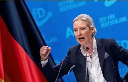 【情何以堪】
德国选择党联合主席魏德尔10月4日发文写道：“默茨于德国国庆日当天
